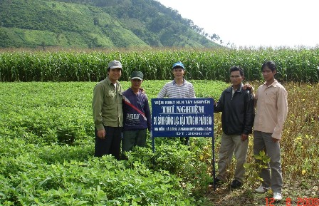 Anh Đặng Bá Đàn và nông dân xã Cư Pui trên đồng ruộng (ảnh: Minh Thông)