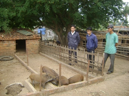 ĐVTN huyện K rông Pak tham quan mô hình nuôi heo rừng của gia đình anh Trần Ngọc Hiếu (ngoài cùng bên trái), thôn 6A, xã Hòa An