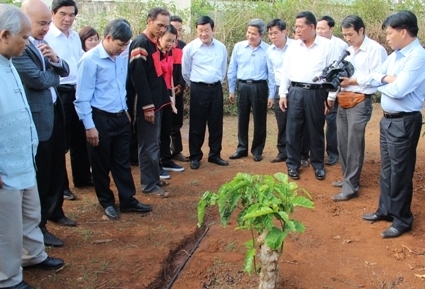 Chủ tịch nước Trương Tấn Sang thăm mô hình