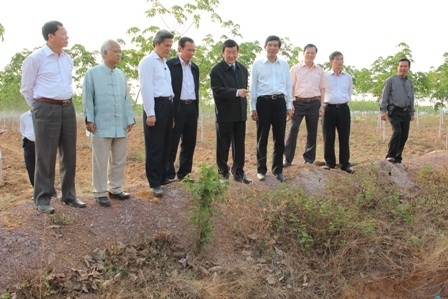 Chủ tịch nước Trương Tấn Sang thăm mô hình