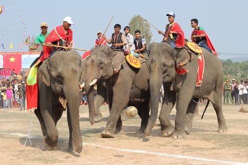 Cùng nhau tranh bóng
