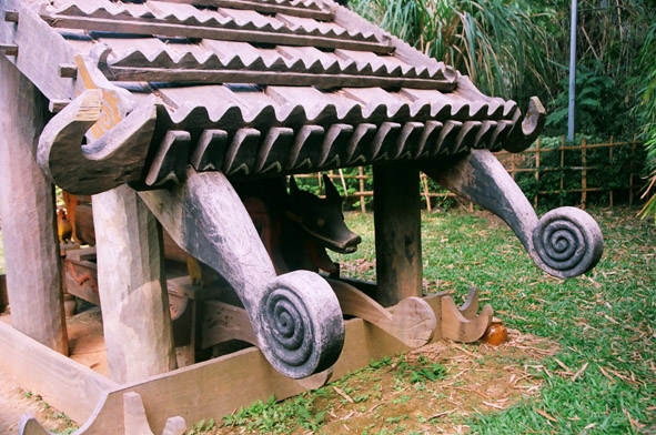 Hình tượng rau dớn trong điêu khắc gỗ ở nhà mồ Cơtu.  