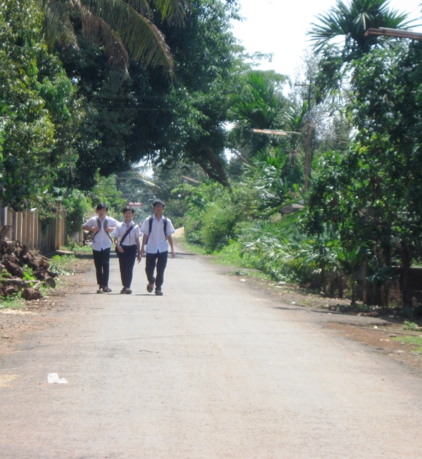 Nhiều tuyến đường vào thôn 1 được tráng nhựa từ đóng góp của nhân dân.