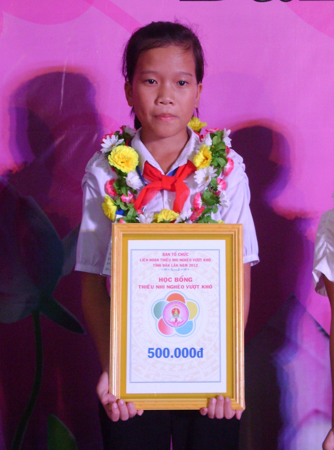 Nguyễn Thị Thảo là một trong 32  gương thiếu nhi nghèo vượt khó tiêu biểu được  Hội đồng Đội tỉnh tuyên dương năm 2012. 