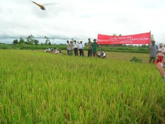Các mô hình trình diễn góp phần giúp người dân  áp dụng khoa học kỹ thuật vào sản xuất. 