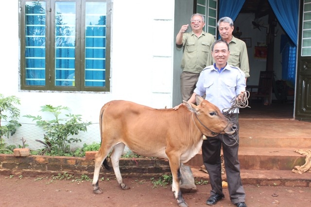 Ban liên lạc đi thăm nhà  CCB Cầm Bá Khanh là hội viên có hoàn cảnh khó khăn được tặng bò