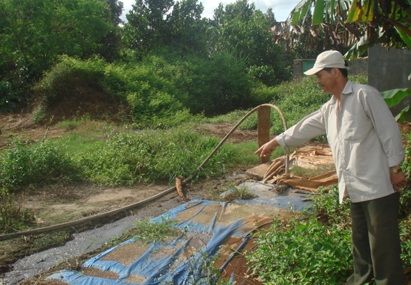        Bể chứa nước thải sau kho chứa  cao su  chảy tràn ra ngoài,  gây ô nhiễm  môi trường. 