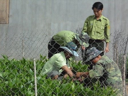 Cán bộ của Vườn cùng người dân thôn 4, xã Cư Kty (Krông Bông) chuẩn bị đem cấy giống đi trồng