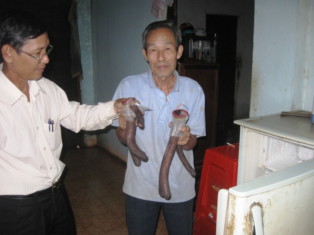 Không  bán được, gia đình  ông Nguyễn Thế Nhân (bên phải) đành phải bảo quản cặp  nhung nai trong ngăn đá tủ lạnh. 