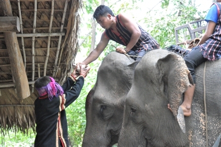 Thầy cúng trao đầu heo