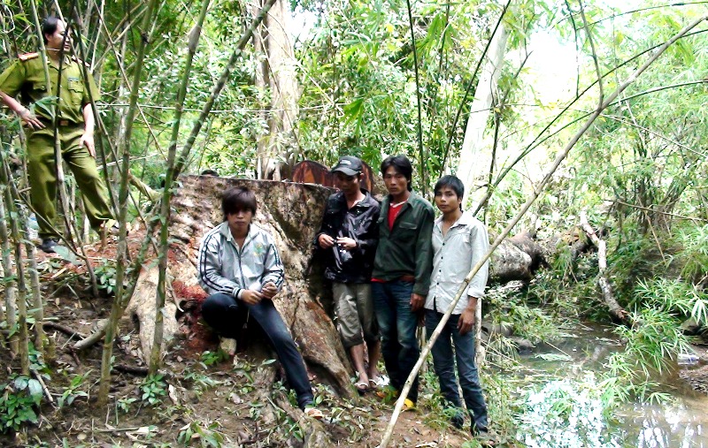 Một nhóm lâm tặc vào VQG Yok Đôn khai thác gỗ hương trái phép bị Công an huyện Buôn Đôn bắt giữ mới đây