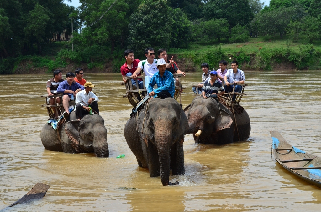 Du lịch trên lưng voi là thế mạnh của du lịch Dak Lak.  