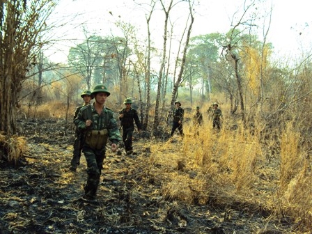 Băng rừng...