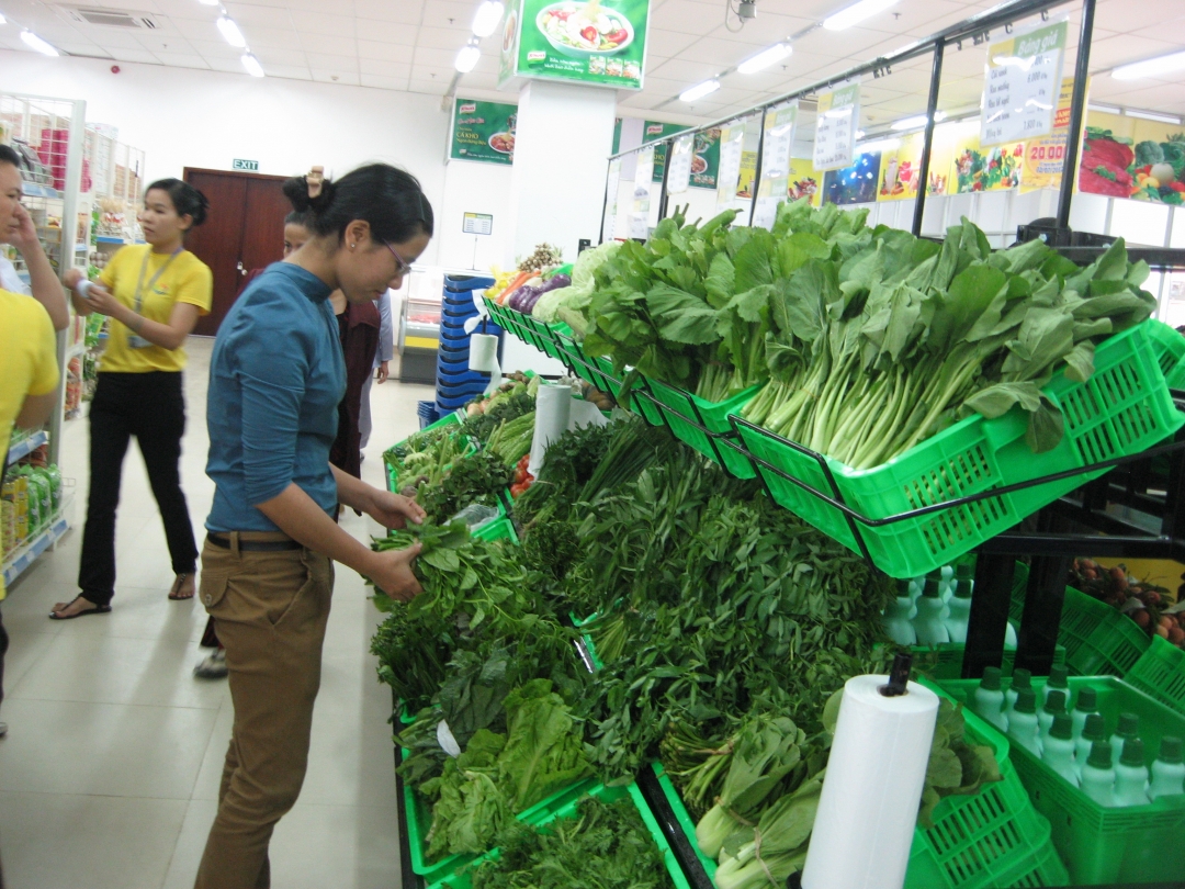 Chọn mua rau sạch tại Vinatex Buôn Ma Thuột.