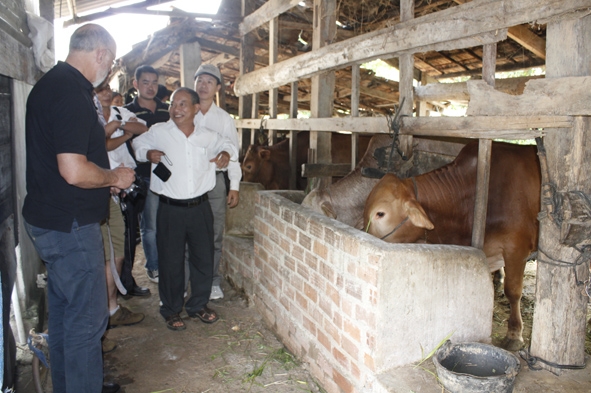 Tiến sĩ  Trương Tấn Khanh (đứng giữa)  hướng dẫn  đoàn khách  nước ngoài  đến thăm quan  mô hình  nuôi bò nhốt  tập trung  hiệu quả cao  tại huyện Ea Kar. 