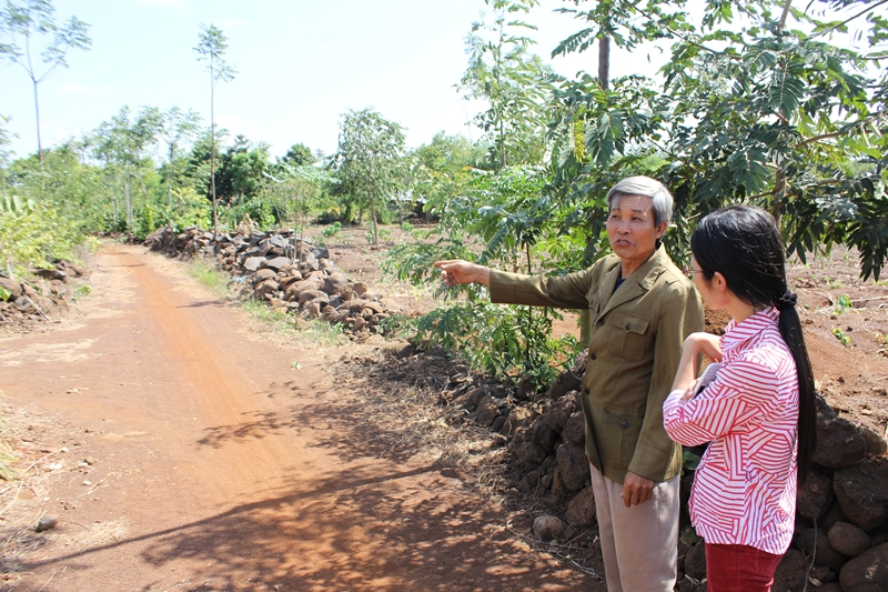 Trong cuộc sống thời bình, vẫn nguyên “chất lính”, ông Lê Ngọc Tuấn đã gương mẫu, tự nguyện hiến hơn 700 m2 đất để mở con đường dài hơn 400 m cho thôn. (Ảnh: Đ.T)