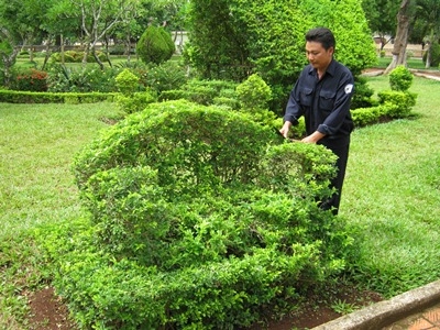 Tác phẩm nghệ thuật bằng cây xanh do công nhân Công ty TNHH MTV Đô thị và Môi trường Dak Lak sáng tạo