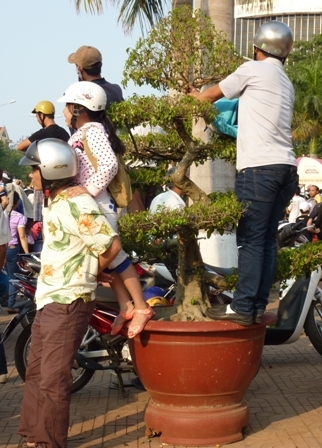 Vừa đứng trên chậu lại vừa đu vào cây cảnh
