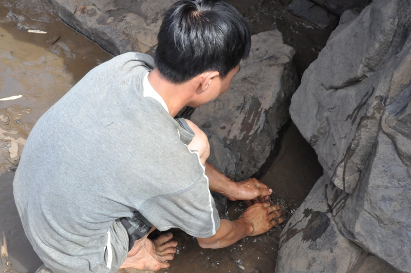 Đến cả tay không…bắt cá