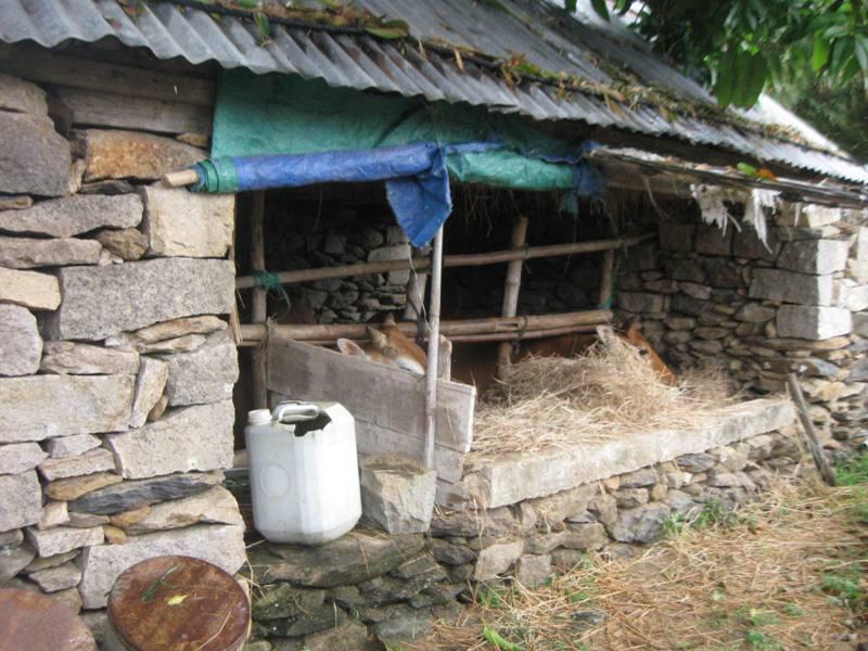 Tường rào, chuồng gia súc ở đây được dựng bằng đá