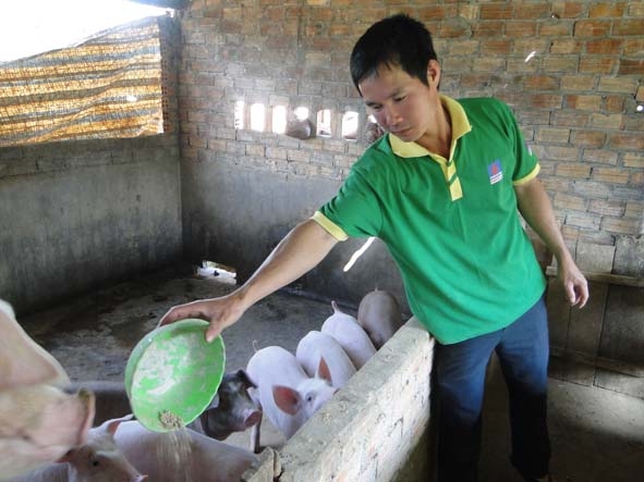 Một góc trang trại nuôi heo của  anh Nguyễn Ngọc Mười thôn 10 (xã Khuê Ngọc Điền, huyện Krông Bông)