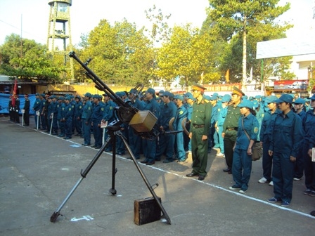 Lực lượng tự vệ thành phố tại lễ ra quân huấn luyện năm 2013.