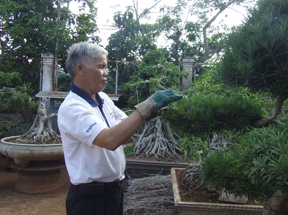 Ông Hồ Sỹ Hùng đang chăm sóc vườn cây cảnh.