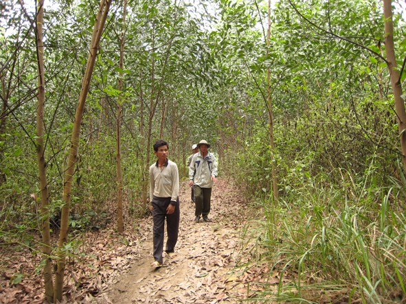 Liên kết trồng rừng ở Krông Bông đã góp phần giải quyết đất sản xuất cho hộ đồng bào DTTS.