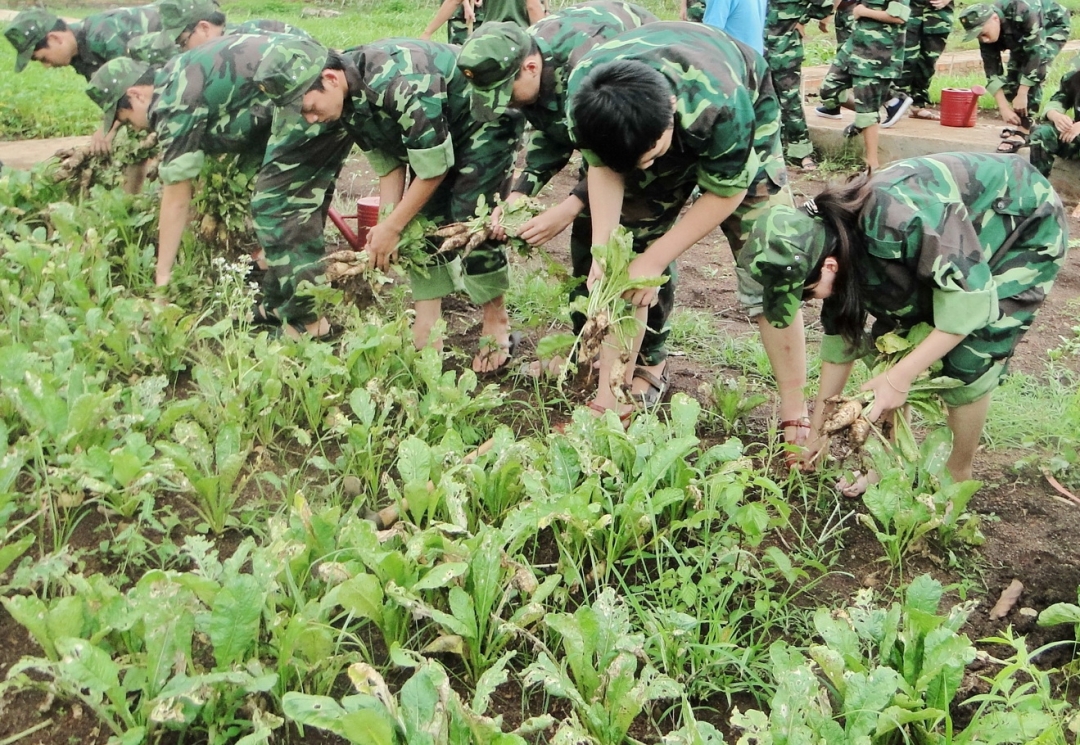 Lần đầu làm nông