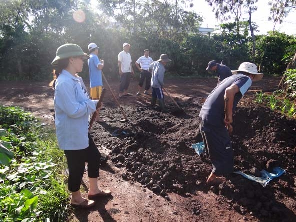 Cô Xoan  và  các  hộ dân san đá sửa đường.