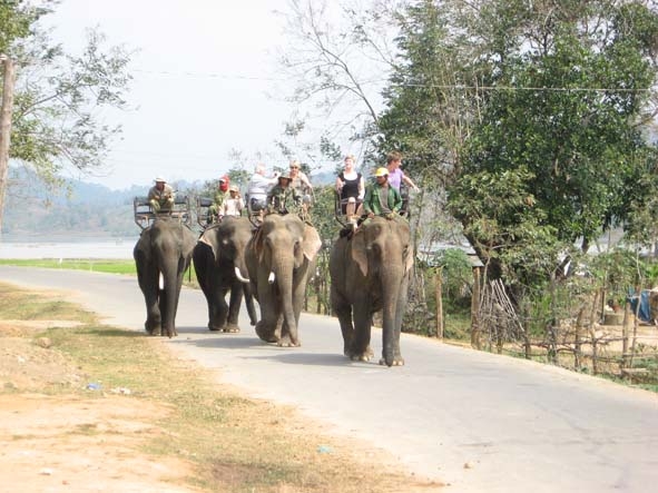 Cưỡi voi tham quan là sản phẩm du lịch văn hóa - sinh thái có sức hút nhất hiện nay ở Dak Lak.