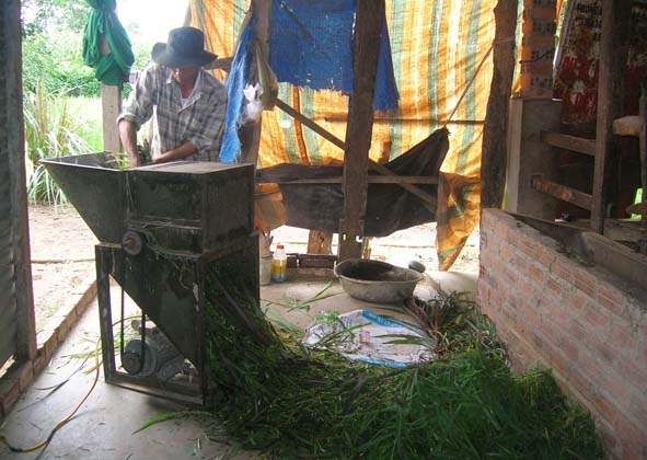 Chiếc máy băm cỏ đã được nhiều hộ chăn nuôi trên địa bàn huyện Ea Kar ứng dụng trong chăn nuôi bò. Trong ảnh: Anh Dương Danh Hải đang vận hành máy băm cỏ.