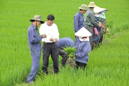 Ảnh minh hoạ