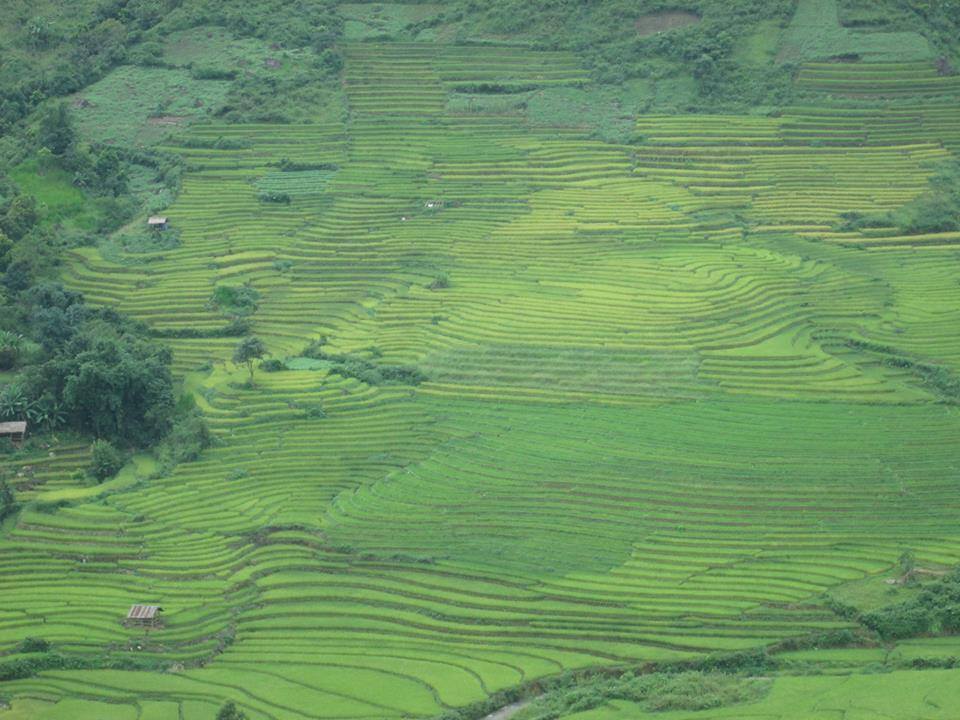 Những thửa ruộng bậc thang kì vỹ