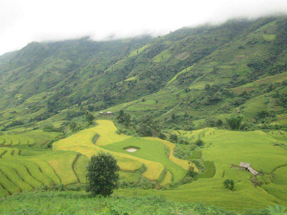 Đẹp như một bức tranh
