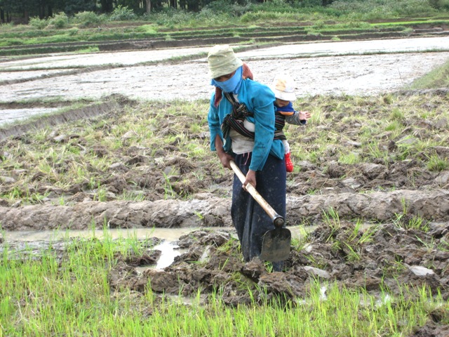 Cấp đất sản xuất 