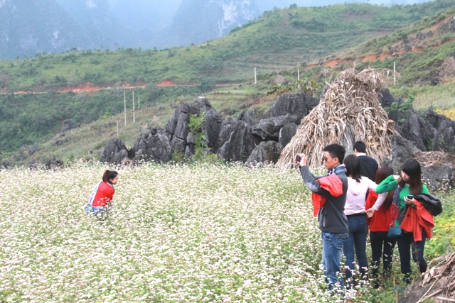 Mê đắm lòng người