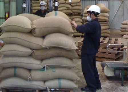 Đóng bao cà phê xuất khẩu (ảnh minh họa)