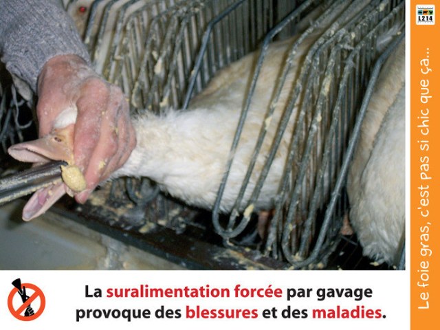 Công nghệ sản xuất 