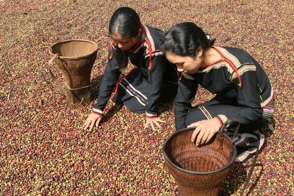 Cà phê Dak Lak của Việt Nam được khách hàng thế giới ưa chuộng.