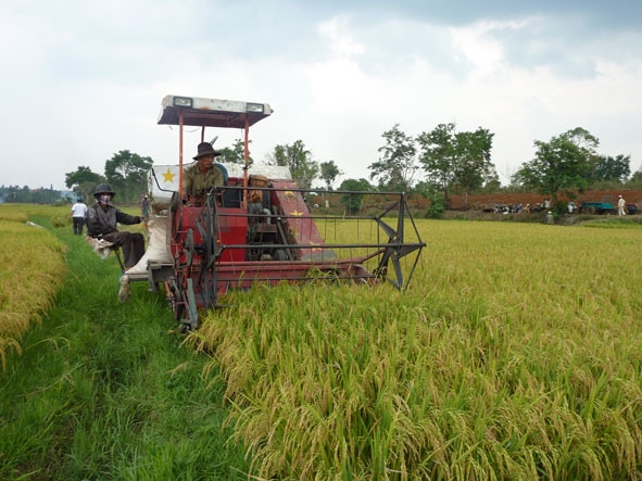 Đẩy mạnh cơ giới hóa trong sản xuất nông nghiệp  góp phần nâng cao năng suất, chất lượng sản phẩm.