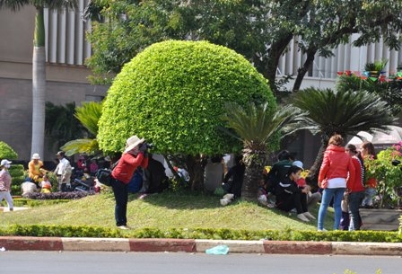 Dẫm đạp lên cỏ để chụp ảnh