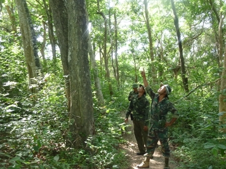 Sự đa..