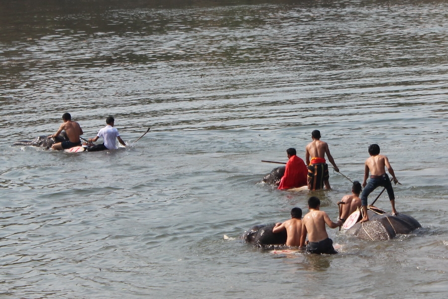 Tranh tài vượt sông