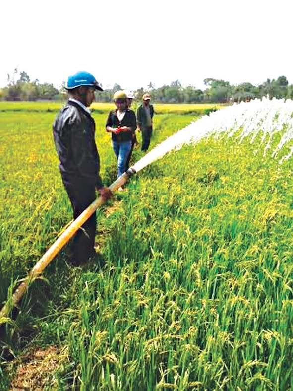 Nông dân  thị trấn  Ea Pôk  bơm nước cứu diện tích lúa bị hạn.