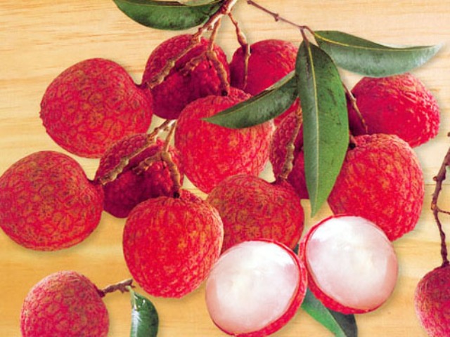 Sử dụng công nghệ CAS để bảo quản nông sản