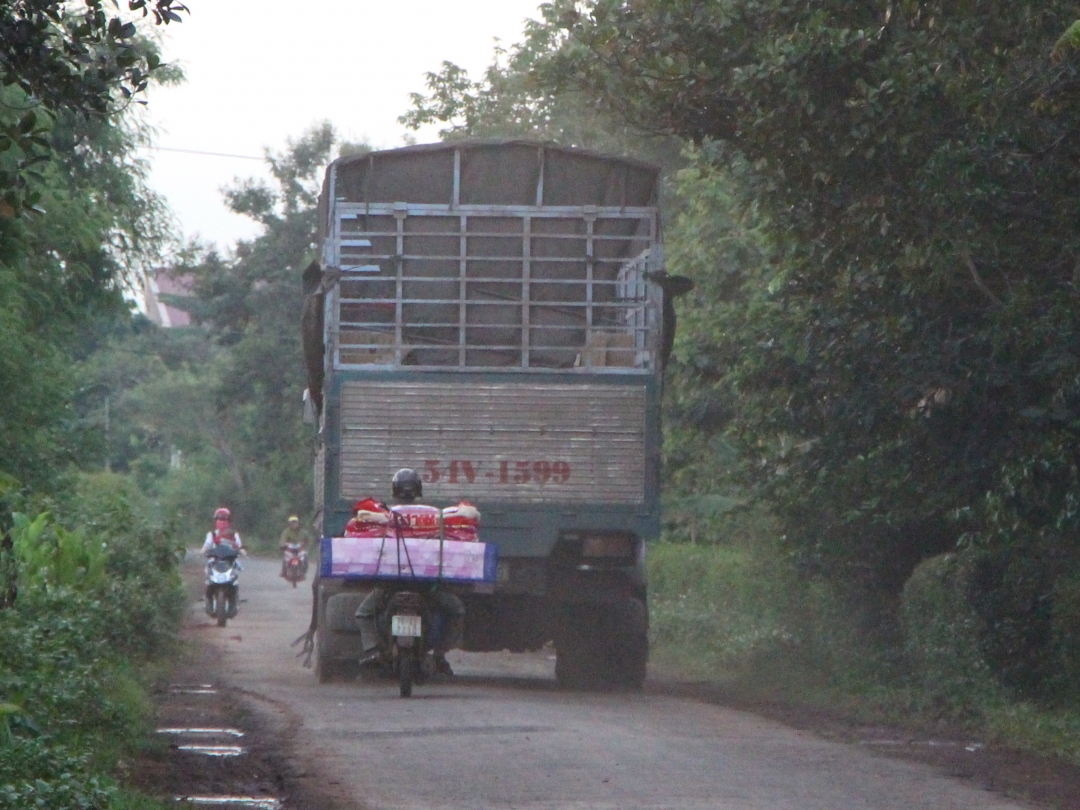 Gây cản trở giao thông