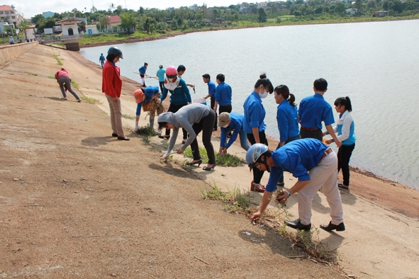 Các đoàn viên thanh niên  trên  địa bàn thị trấn Ea Đrăng nhặt rác, nhổ cỏ xung quanh khu vực bờ hồ.