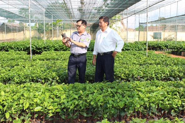 Kiểm tra nhãn mác, bao bì  giống cây trồng  tại Công ty TNHH  Tư vấn đầu tư,  phát triển  Nông lâm nghiệp Ea Kmat.