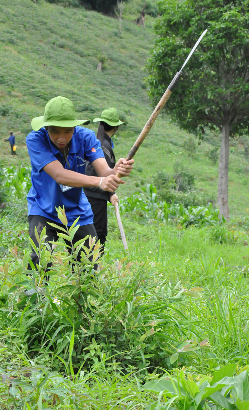 Bạn phát cây